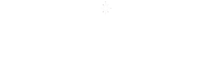 MissDirection Logo
